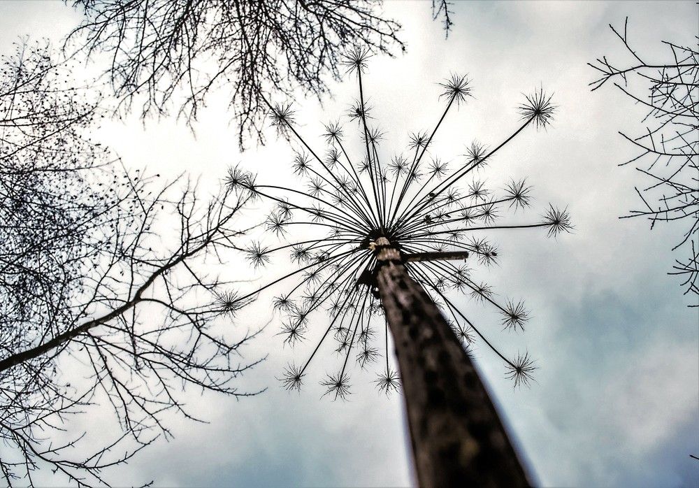 Photograph by Сиваков Алексей