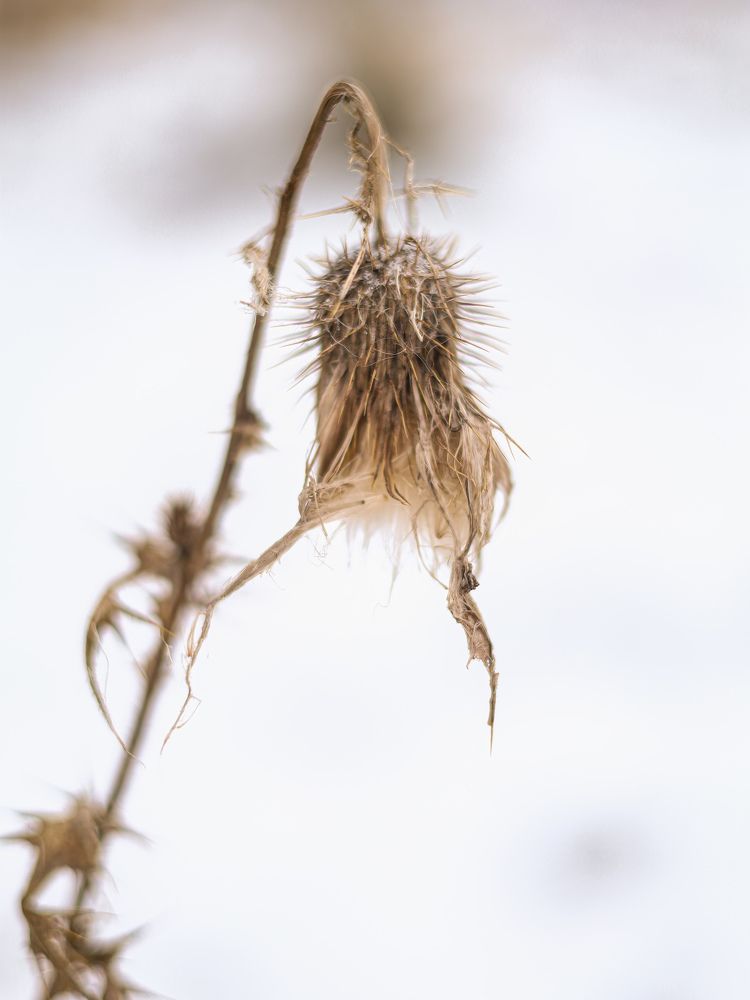 Photograph by Светлана Фоменко