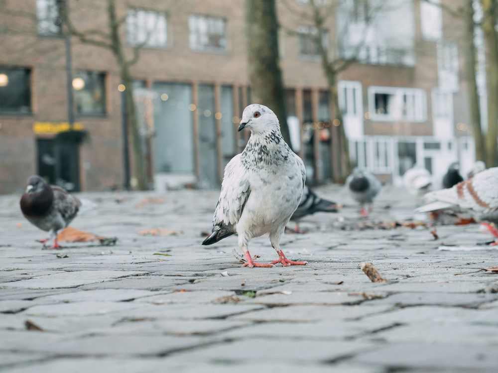 Photograph by Ирина Протченко