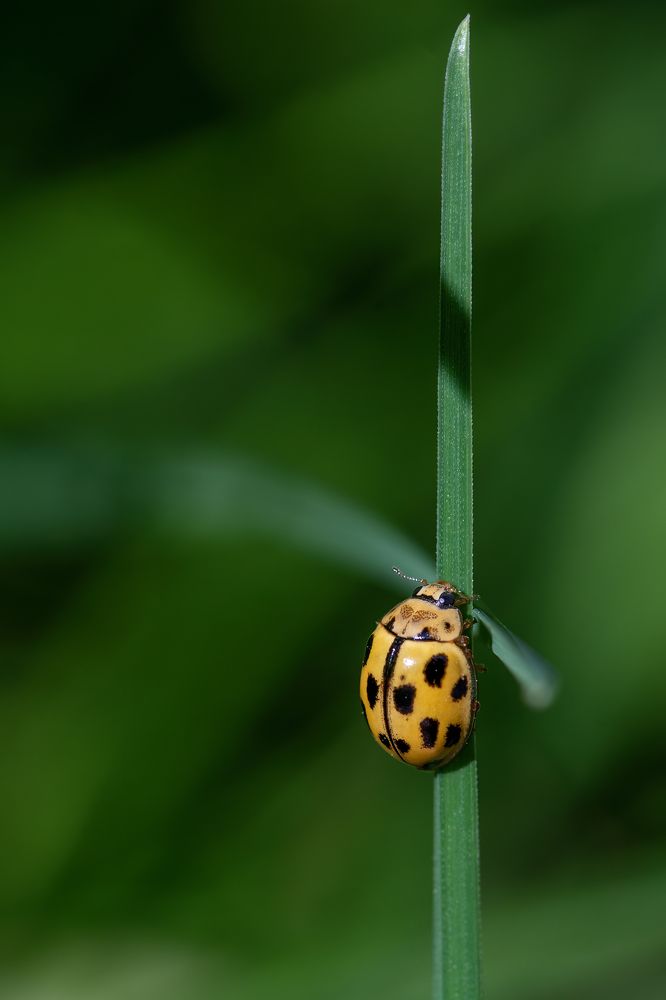 Photograph by Djordje Filipovic