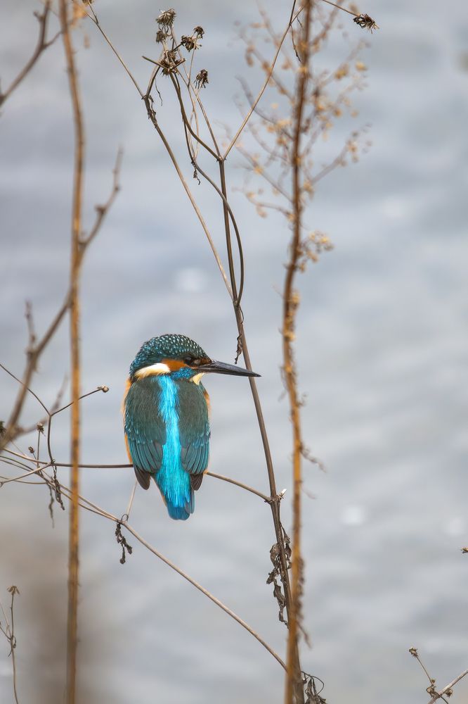 Photograph by Djordje Filipovic