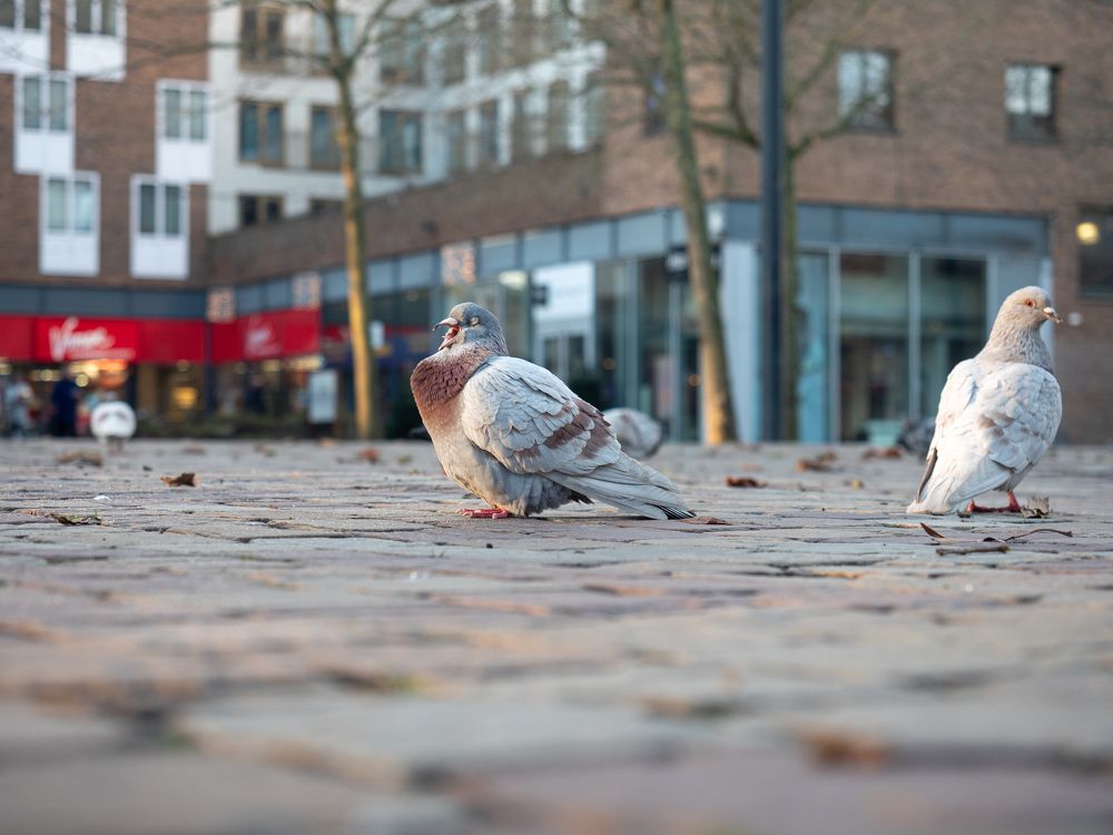 Photograph by Ирина Протченко