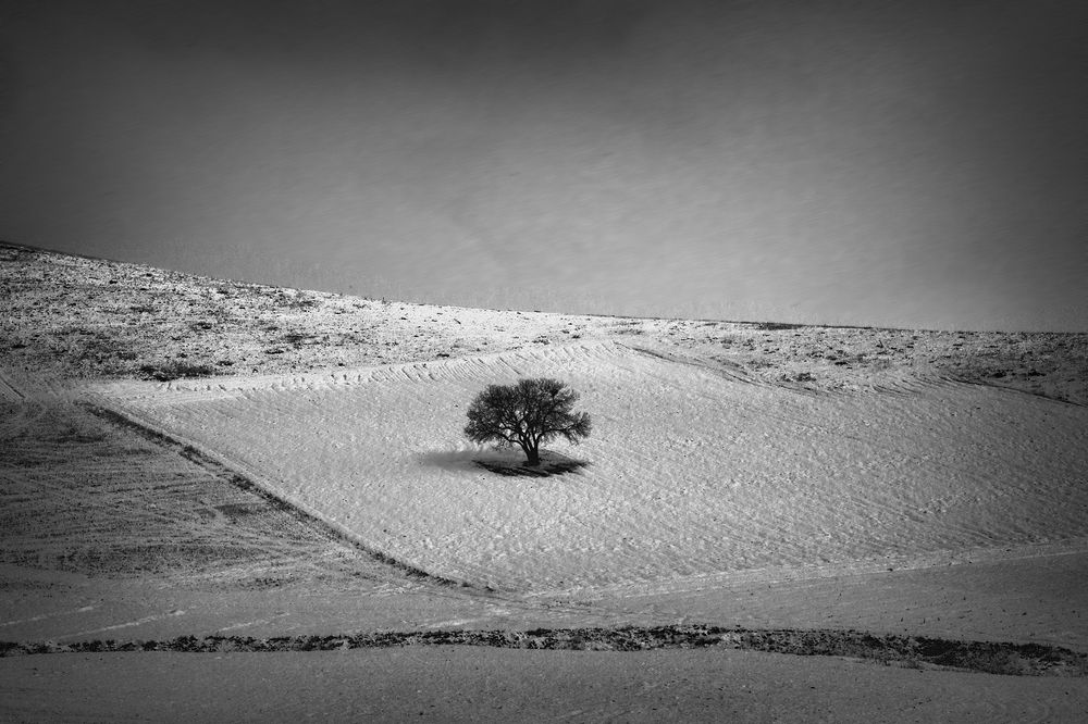 Photograph by Bavehie Farbod