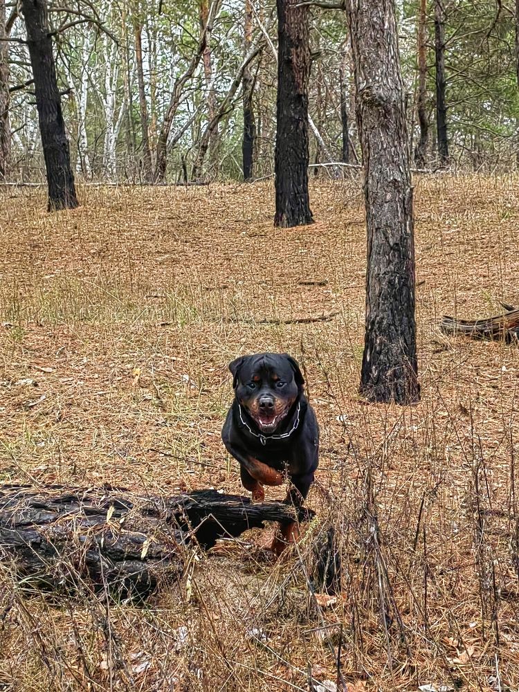 Photograph by Елена Пономарева