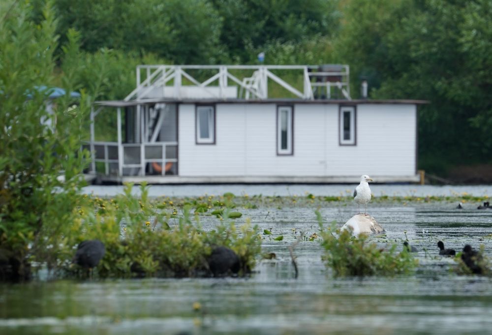 Фотография автора Егор Иванов