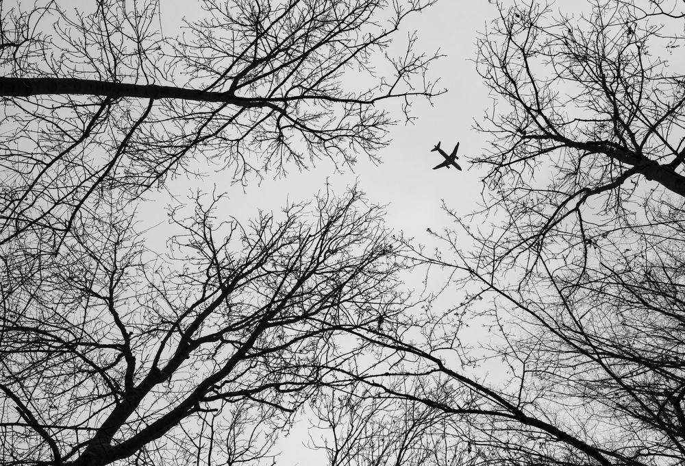 Фотография автора Petr Rabinak