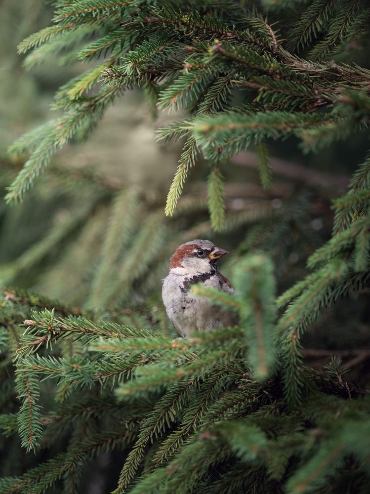 Photograph by Мозжухин Максим