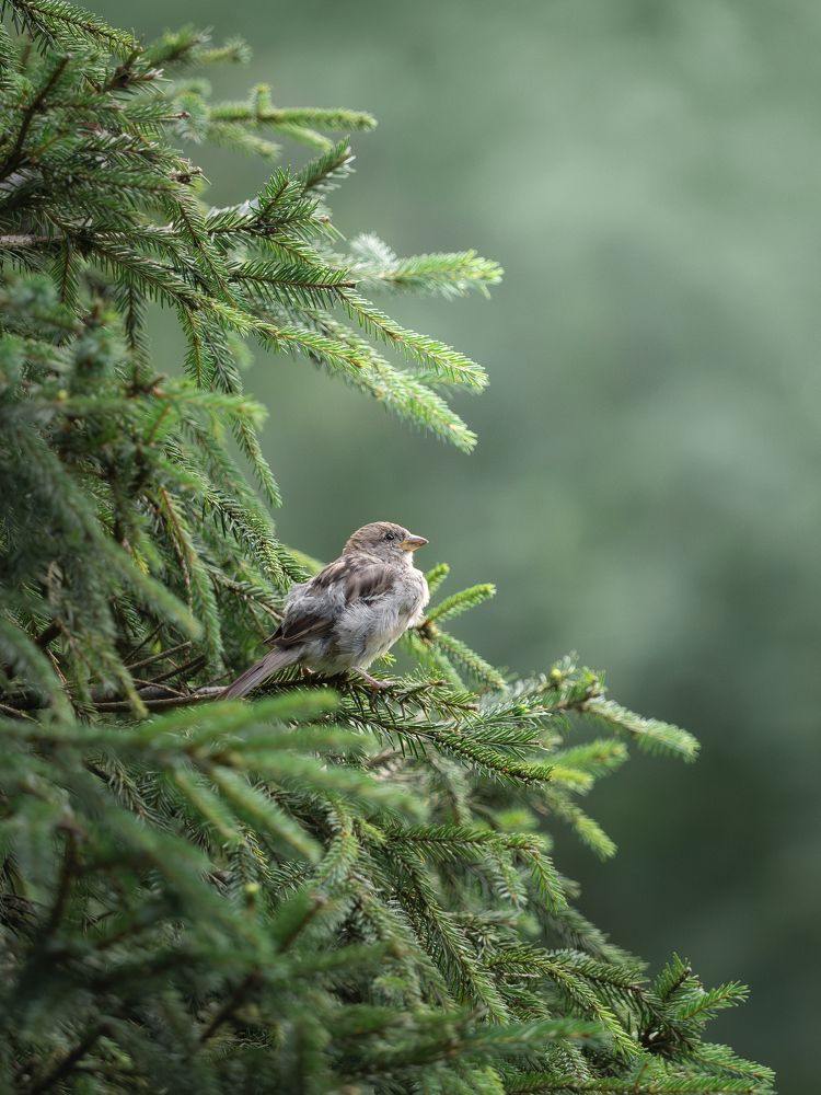 Photograph by Мозжухин Максим