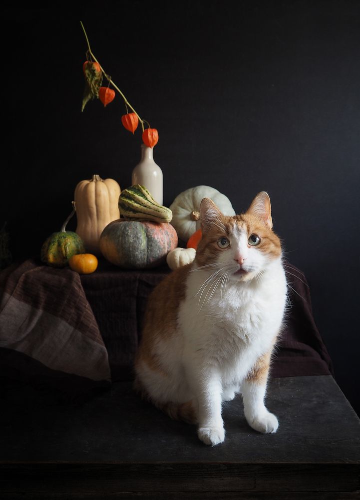 Photograph by Ольга Еремеева