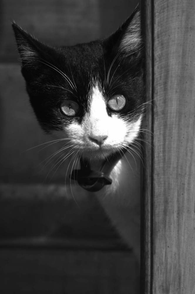 Photograph by Руслан Швиткий