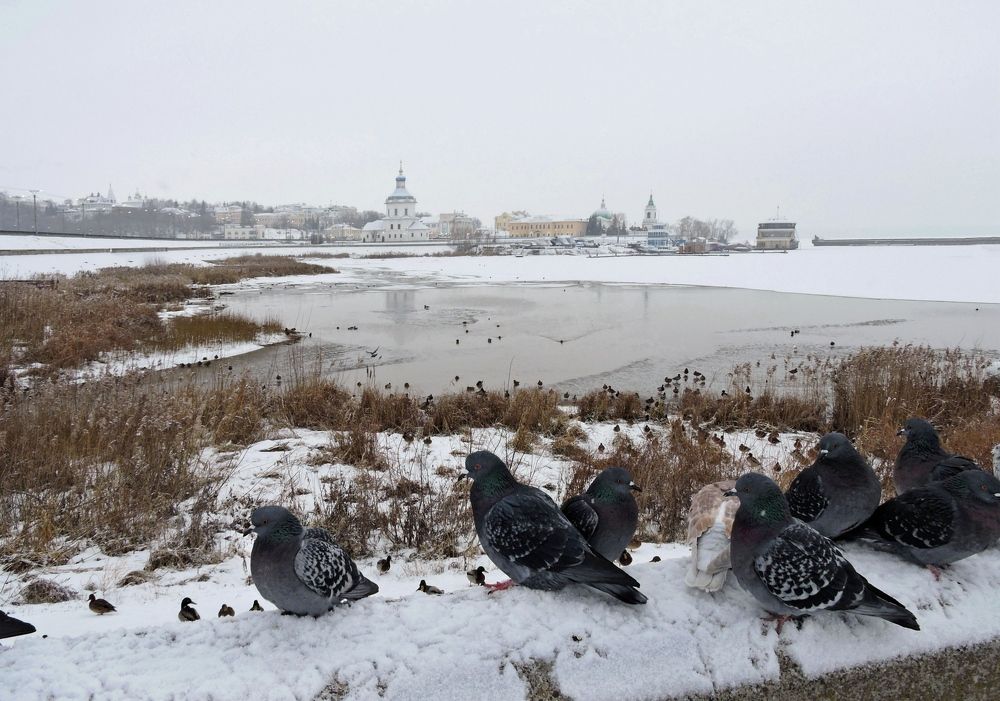 Photograph by Наталия Васильева