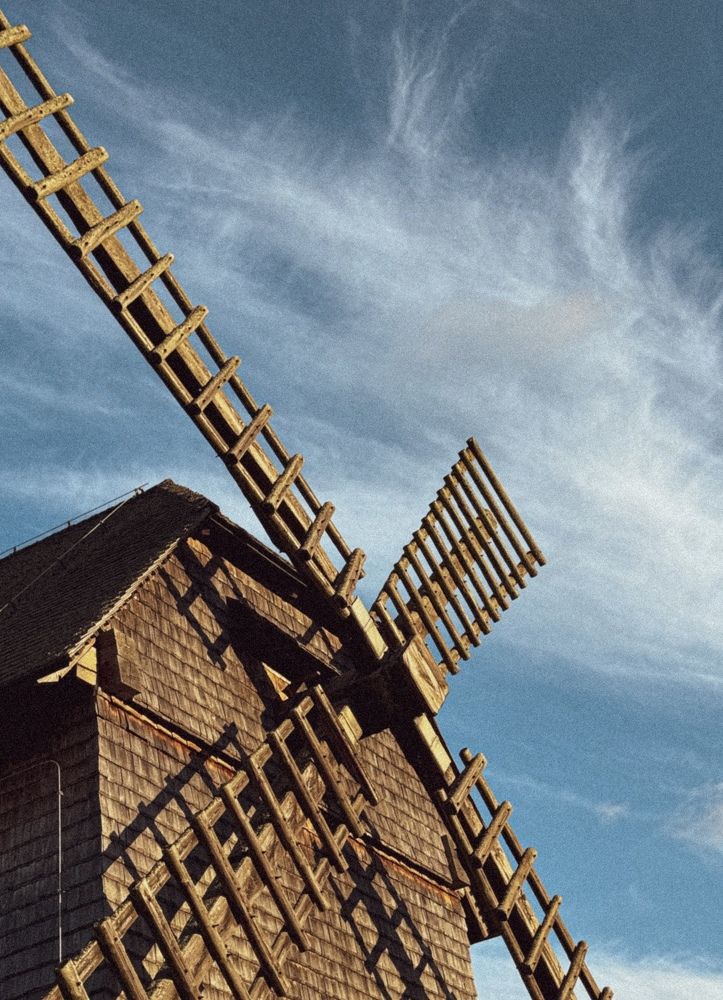 Фотография автора Ирина Богоносова