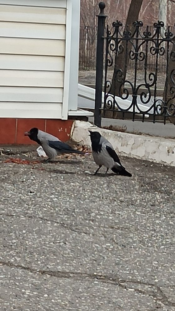 Photograph by Валерия Сопова