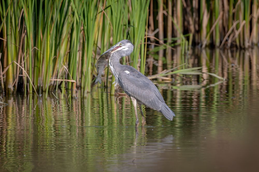 Photograph by Антон Науменко