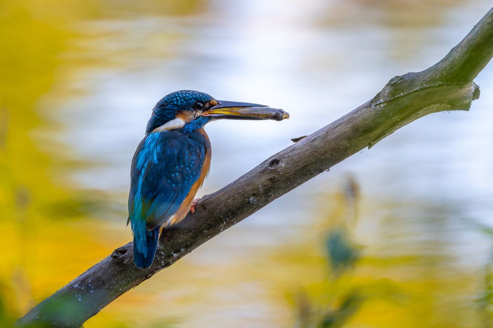 Photograph by Антон Науменко