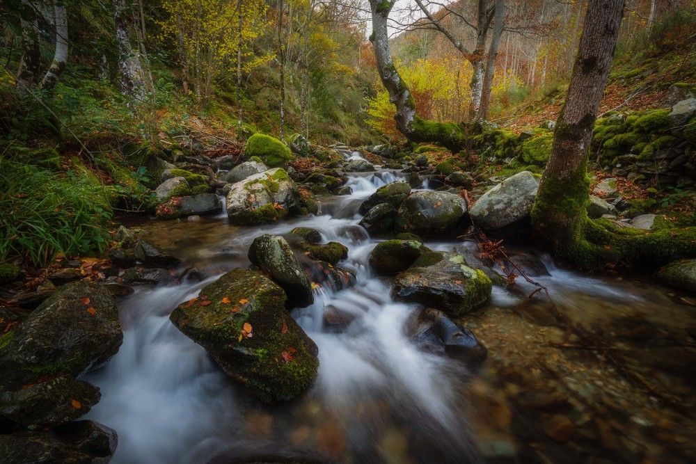 Photograph by Josema Dieguez Rodriguez