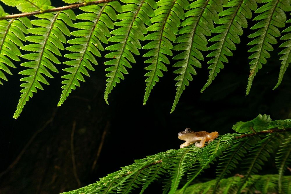 Photograph by Luis Armando