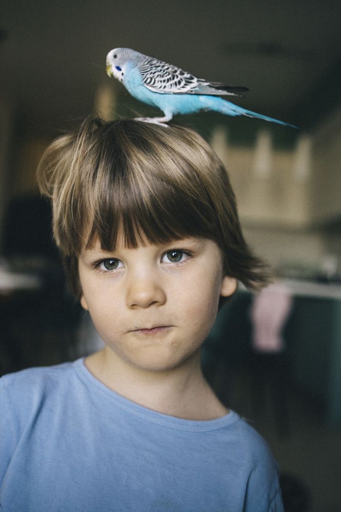 Фотография автора Ольга Дорогина