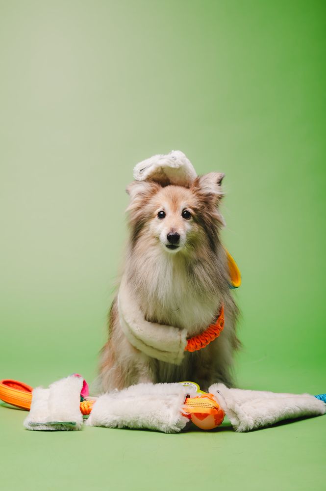 Photograph by Kate Entsi