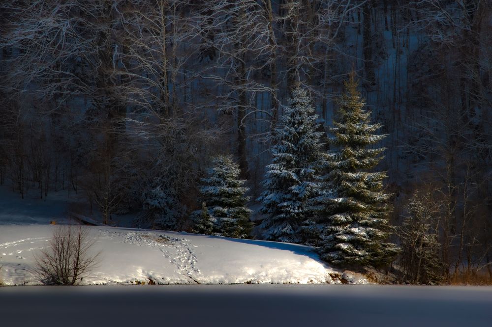 Photograph by Zana Hrkac