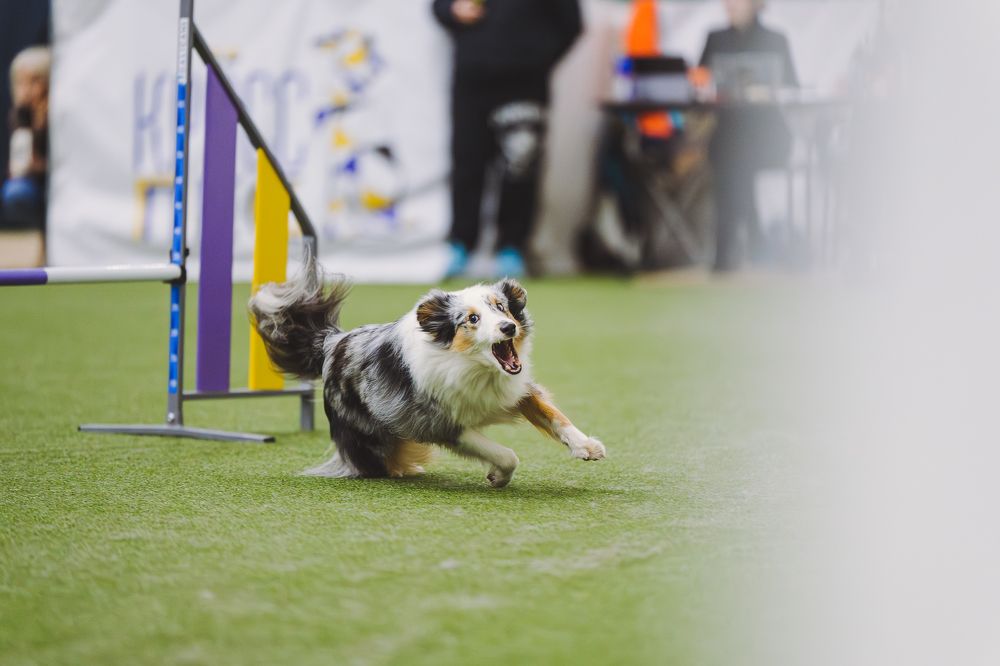 Photograph by Kate Entsi