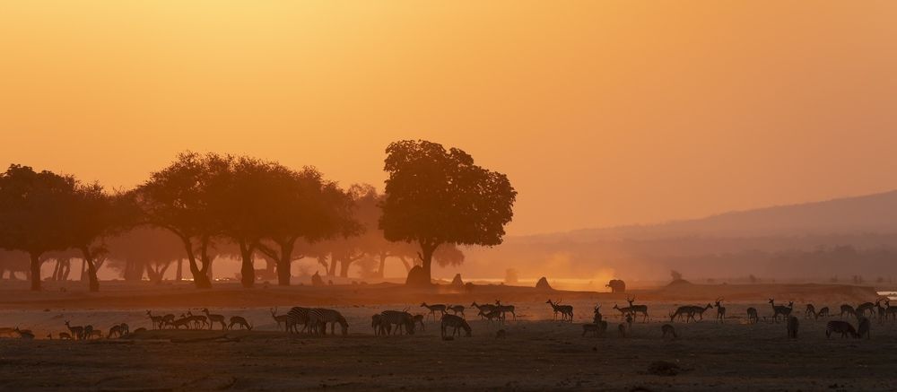 Photograph by Turgay Uzer