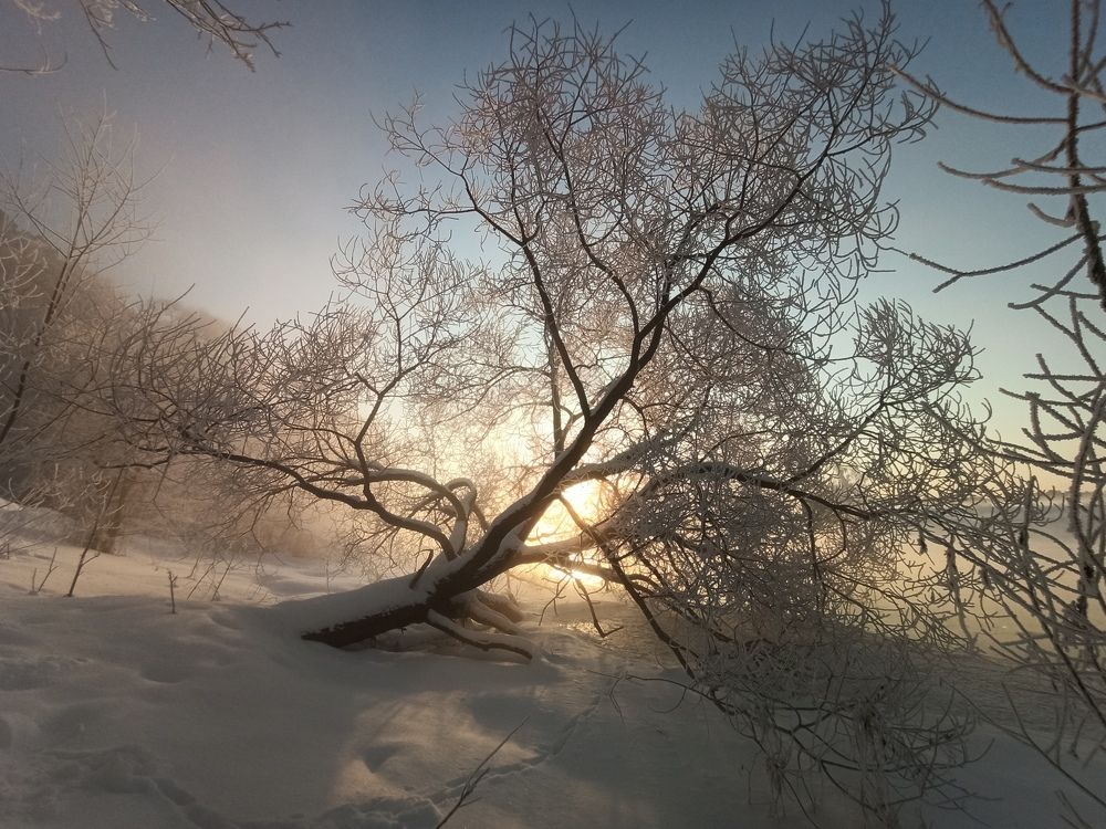 Photograph by Елена Копейкина