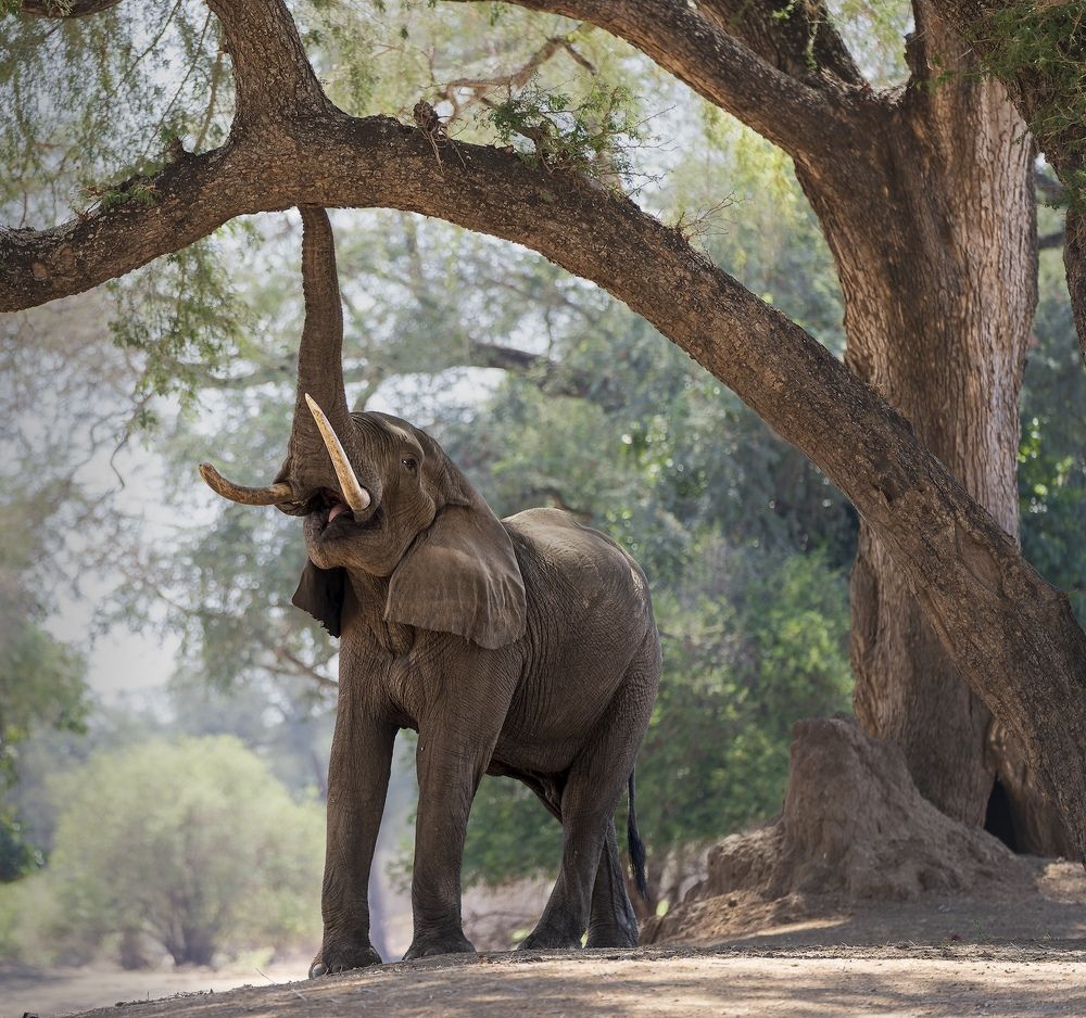 Photograph by Turgay Uzer