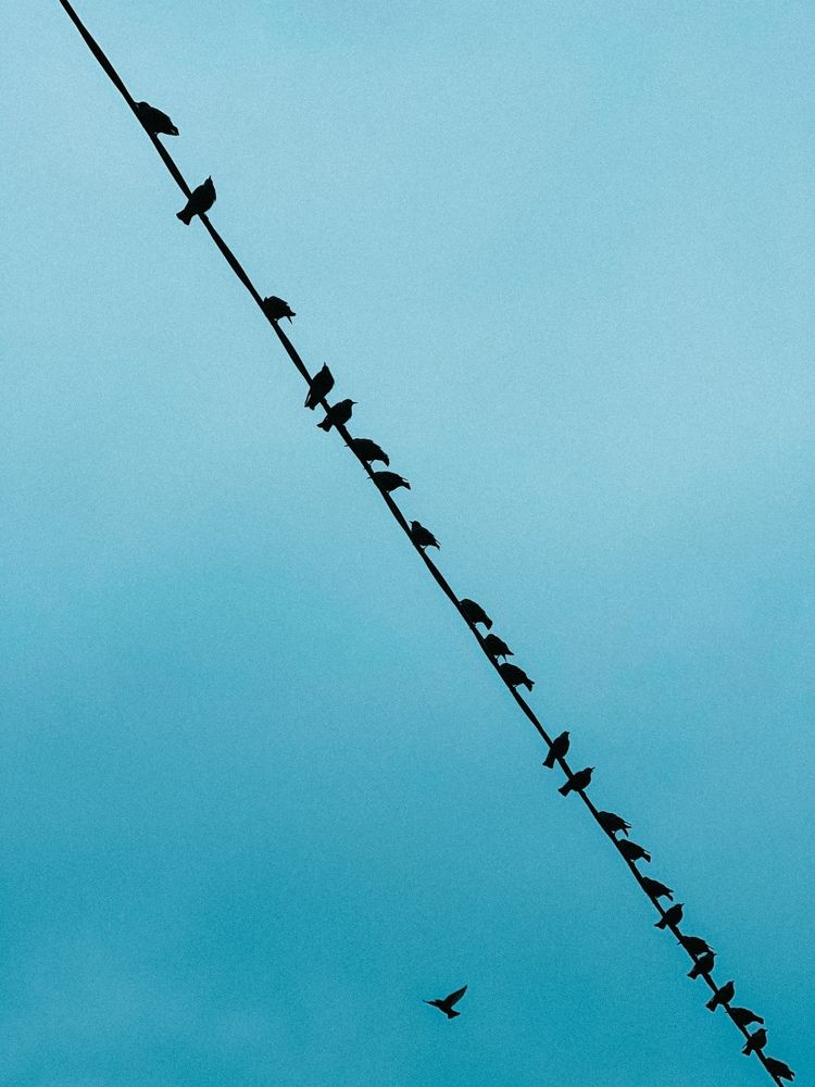 Photograph by Tina Baks