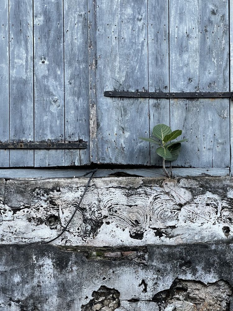 Photograph by Tina Baks