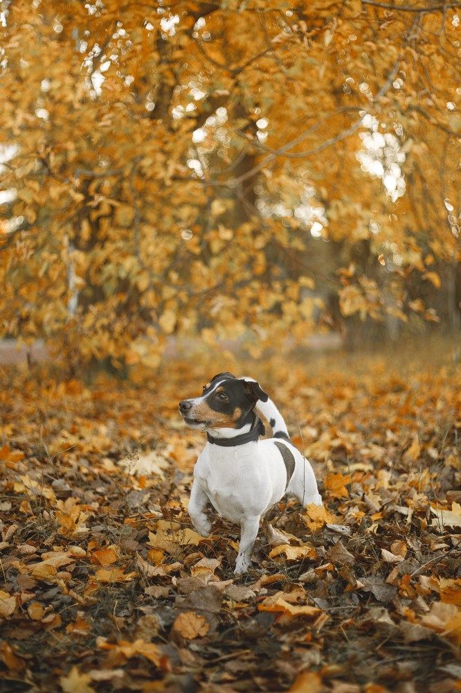 Photograph by Катерина Гордик