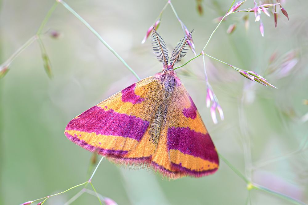 Photograph by Борис Новиков