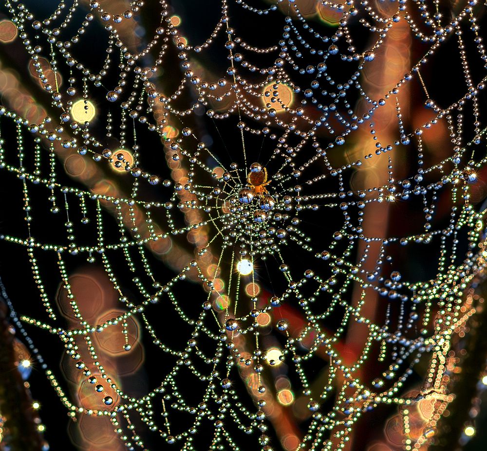 Photograph by Борис Новиков