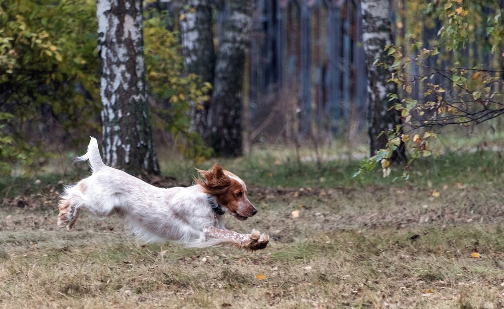 Photograph by Владимир Безбородов