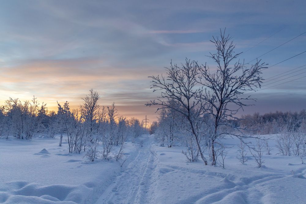 Photograph by Зоя Эль