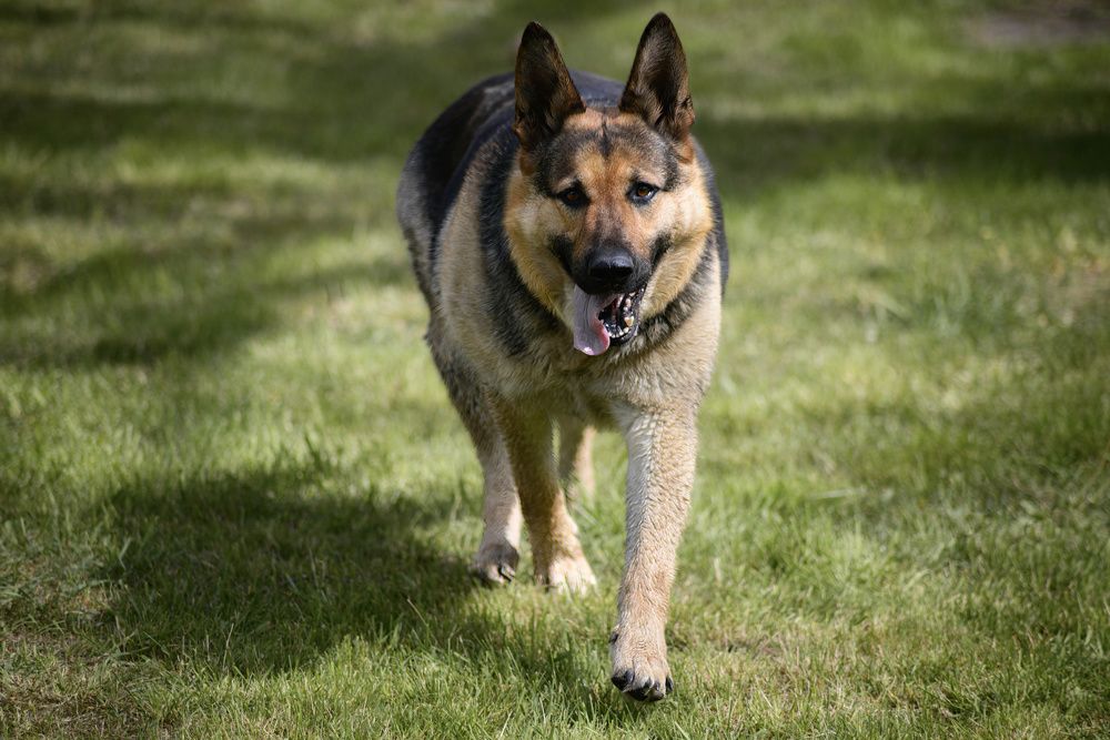 Фотография автора Валерий Лушин