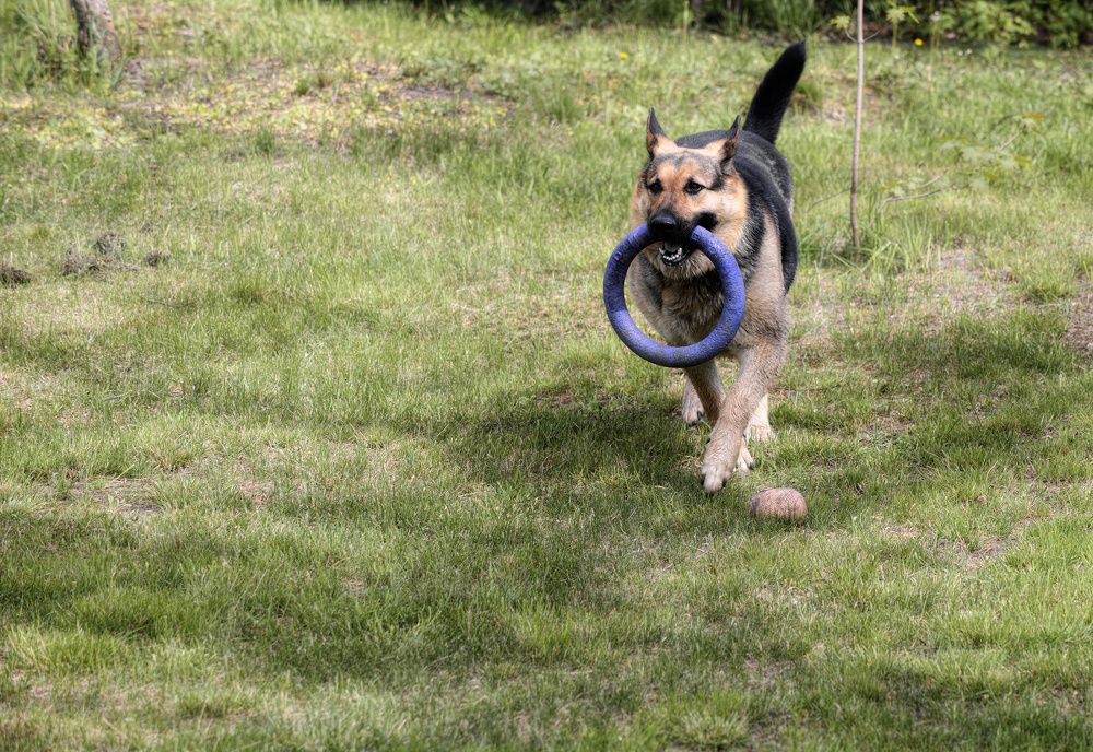 Фотография автора Валерий Лушин