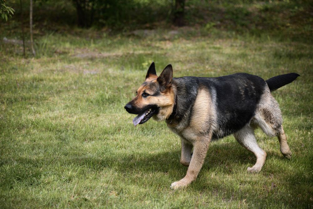 Фотография автора Валерий Лушин