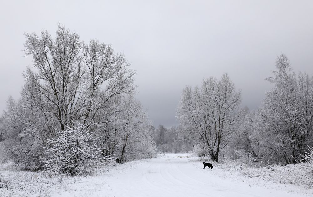 Photograph by Олег С