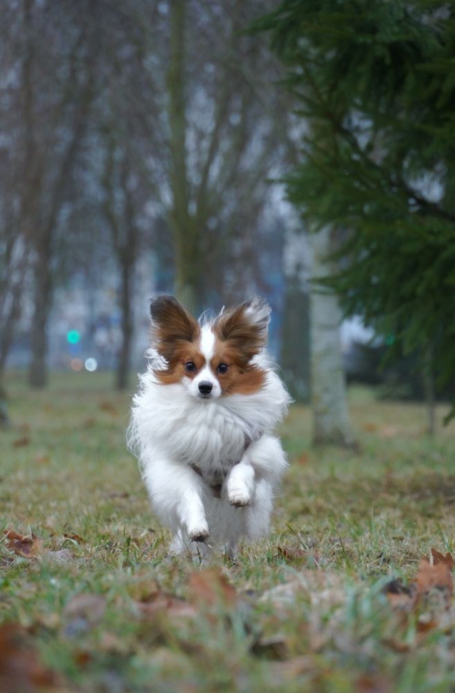 Фотография автора Егор Иванов