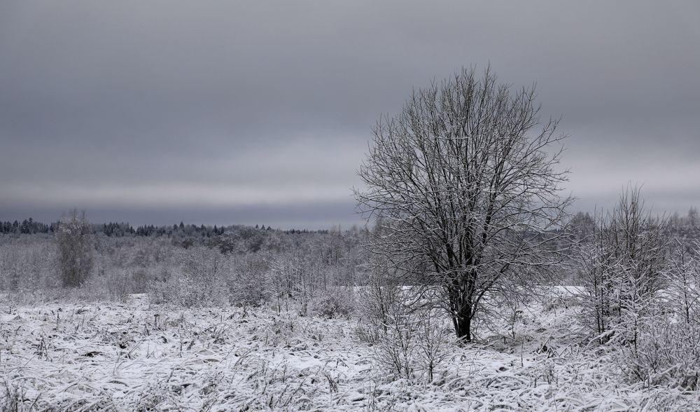 Photograph by Олег С