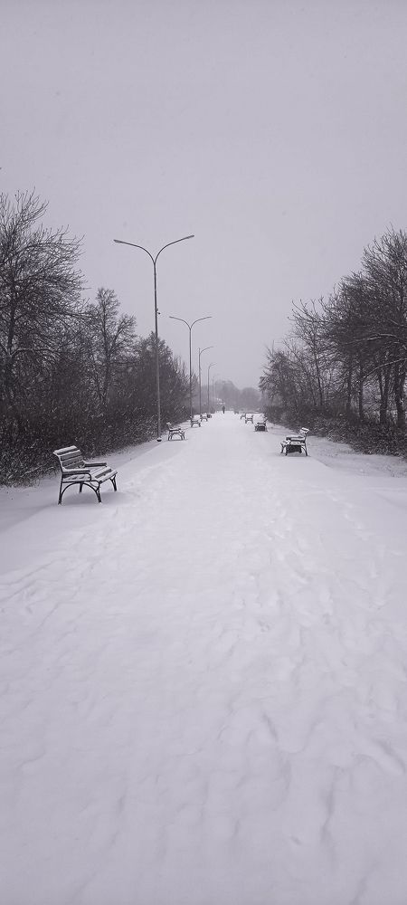 Фотография автора Евгения Кириллова