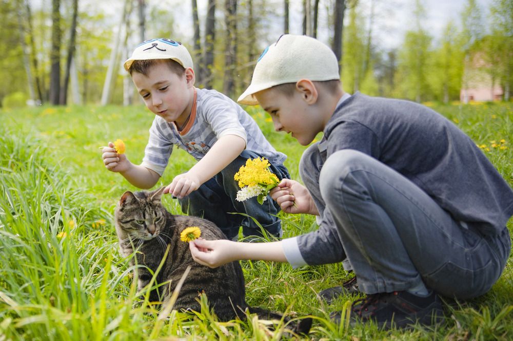 Photograph by Марина Александрова
