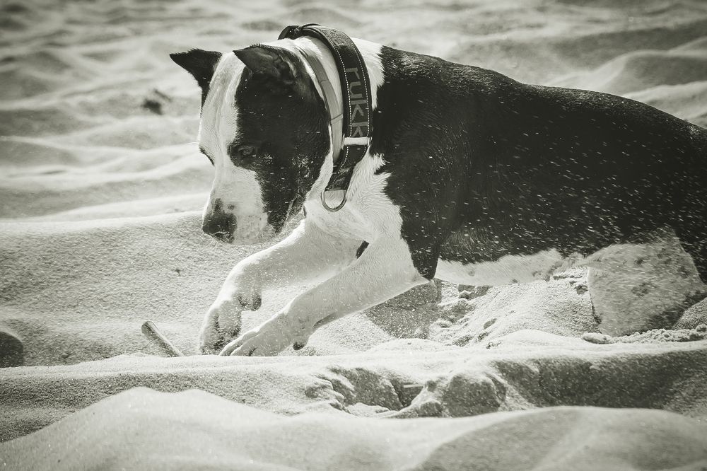 Photograph by Евгений Зачепило