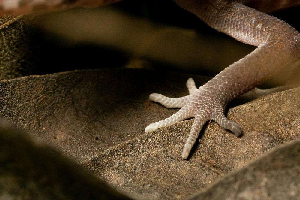 Photograph by Luis Armando