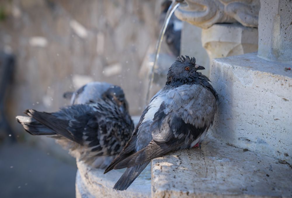 Photograph by Максимова Дария