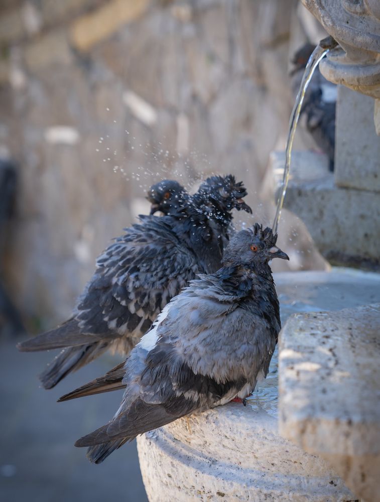 Photograph by Максимова Дария