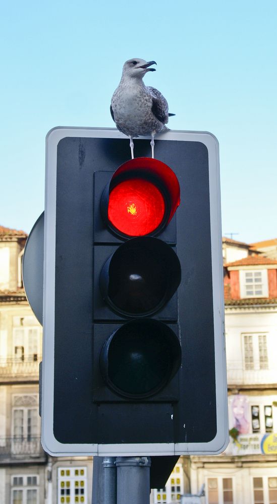 Photograph by Максимова Дария