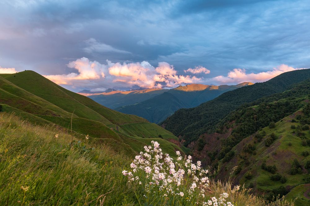 Photograph by Рамзан Давлетмирзаев