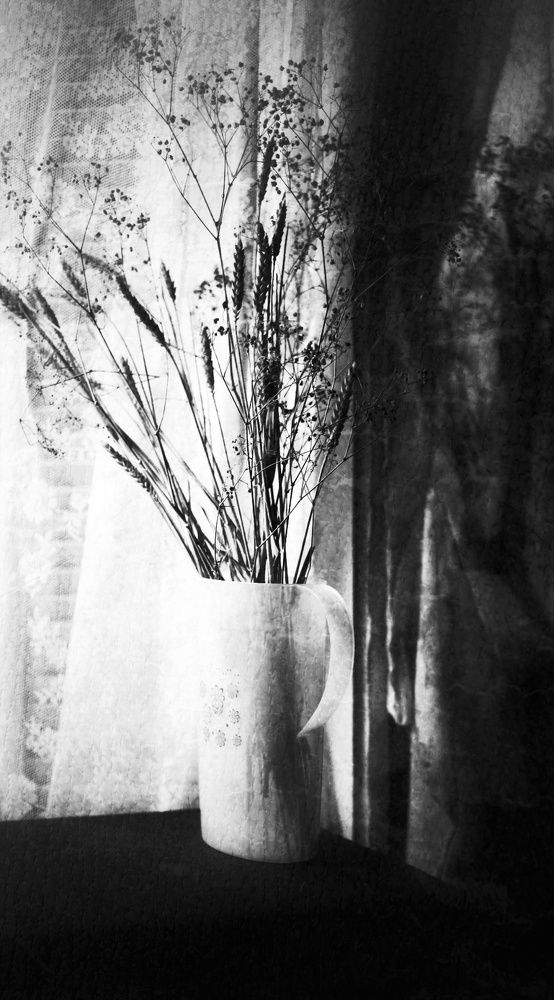 Фотография автора Ольга Лянная